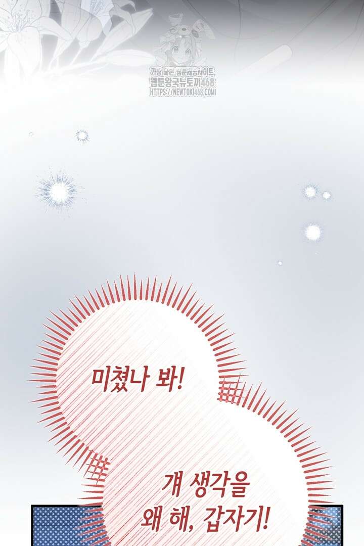 몰락한 왕녀에게는 회귀가 필요합니다 41화 93