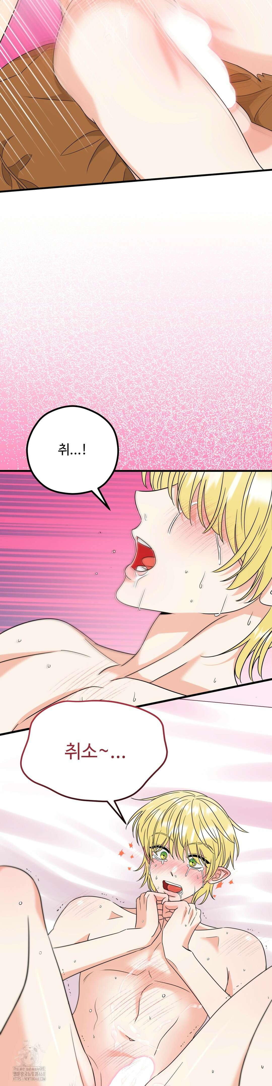 페어리 페어링 69화 35