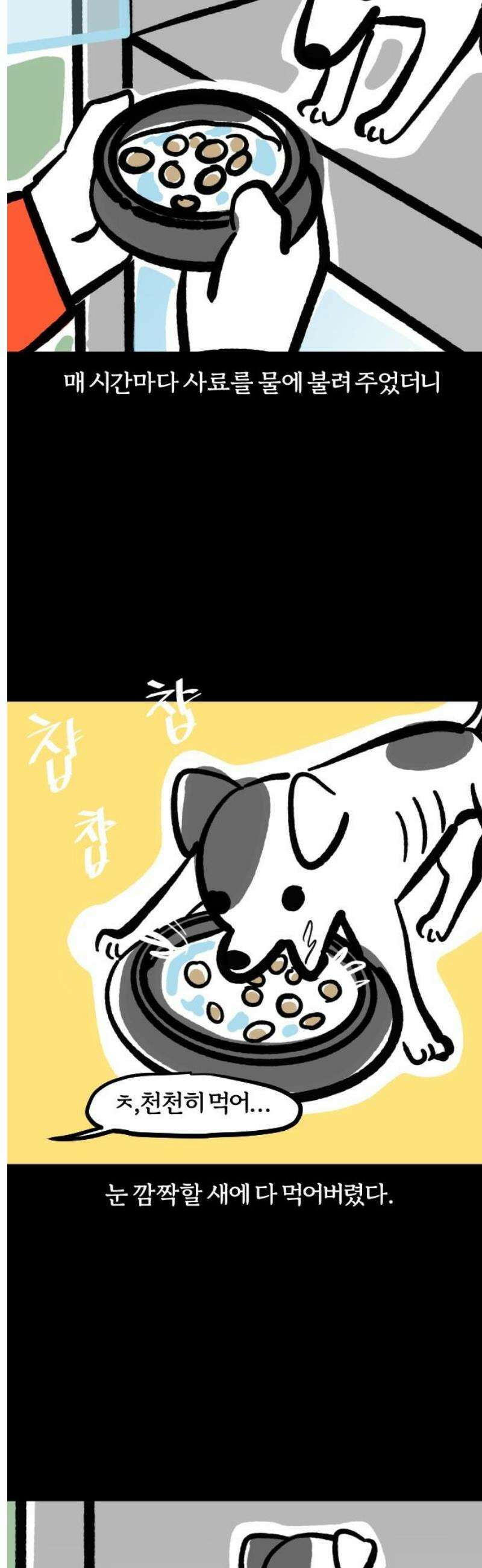 개집사 99화: 앙증 7