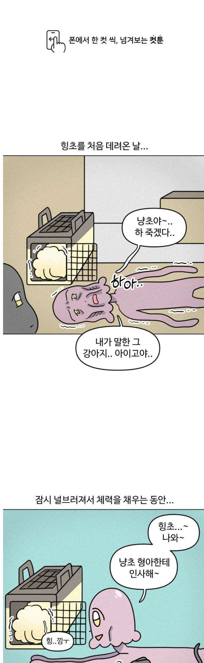 쌉초의 난 126화 김힝초의 쌉초 집 적응기1 1