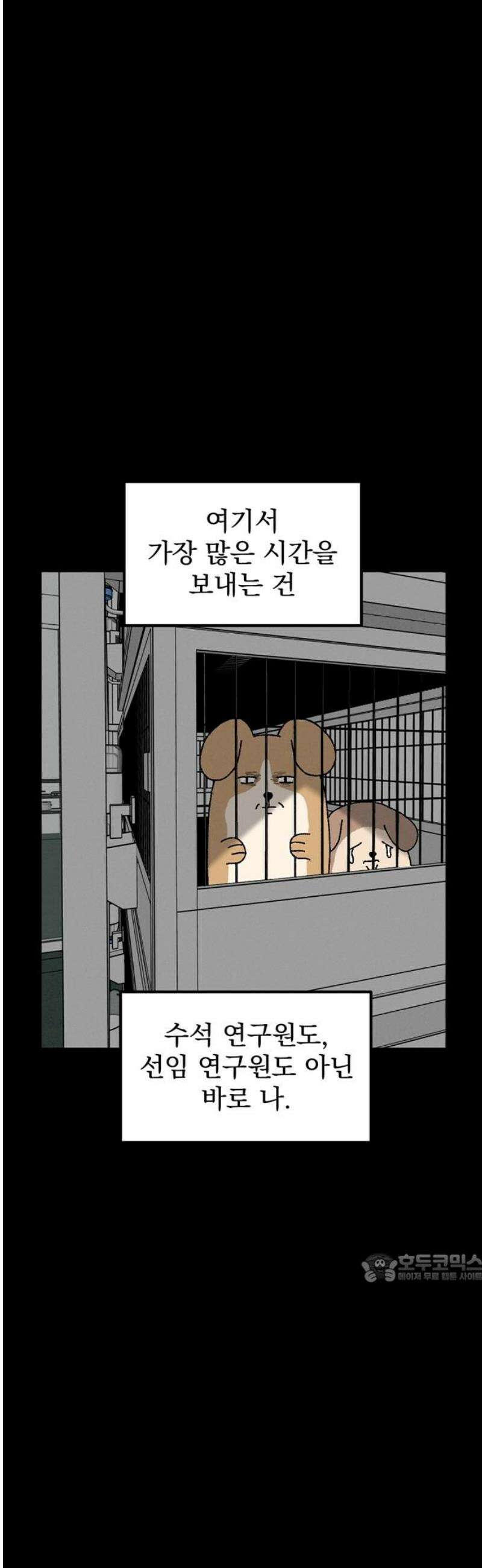 티라노 노경수 17크아앙 2