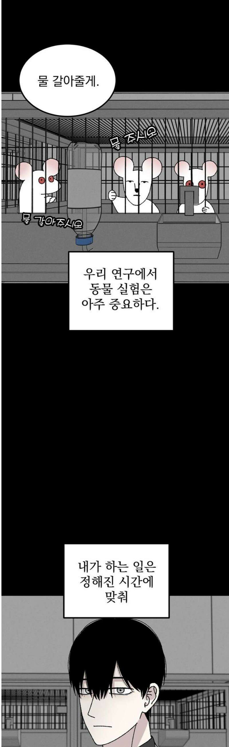 티라노 노경수 17크아앙 3