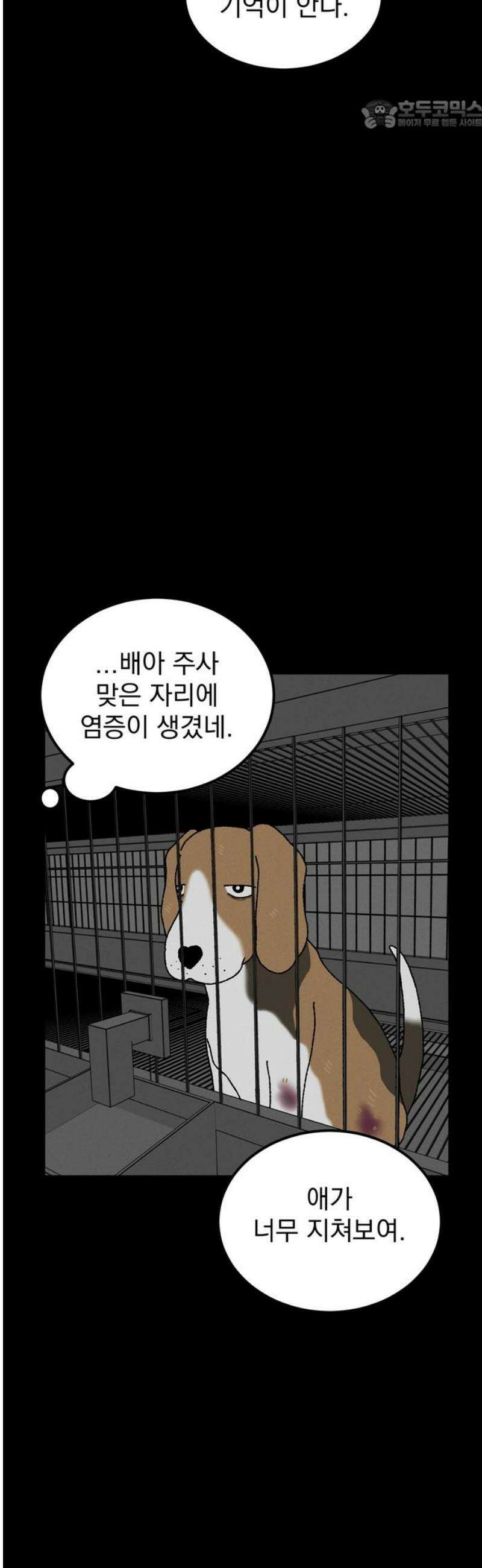 티라노 노경수 17크아앙 22