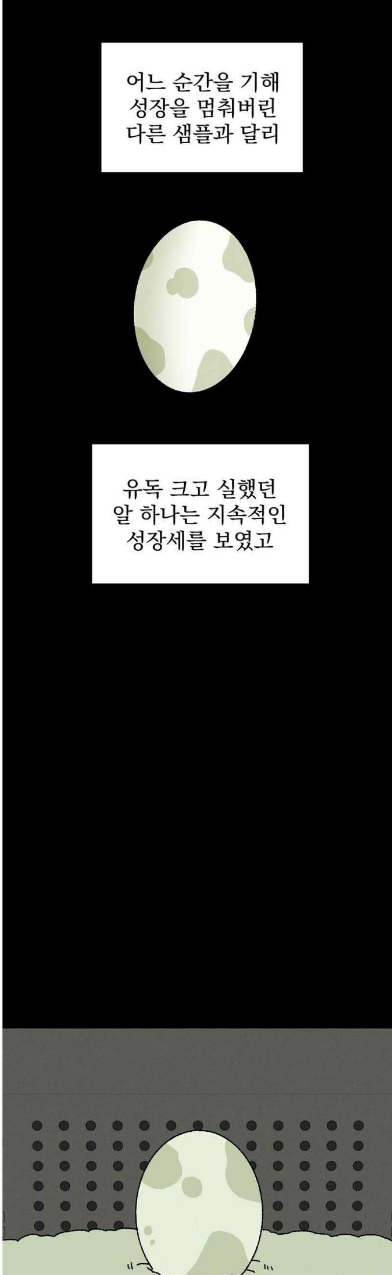티라노 노경수 17크아앙 55