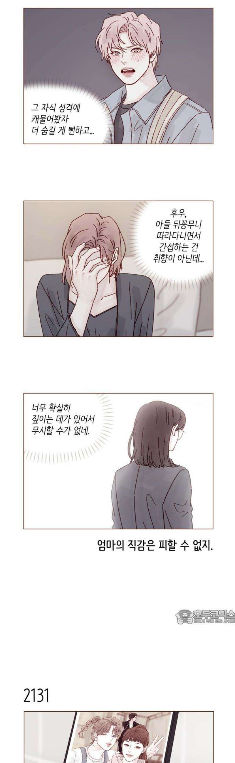 홍시는 날 좋아해 325화 : 맞지! 사귀는 거! 2