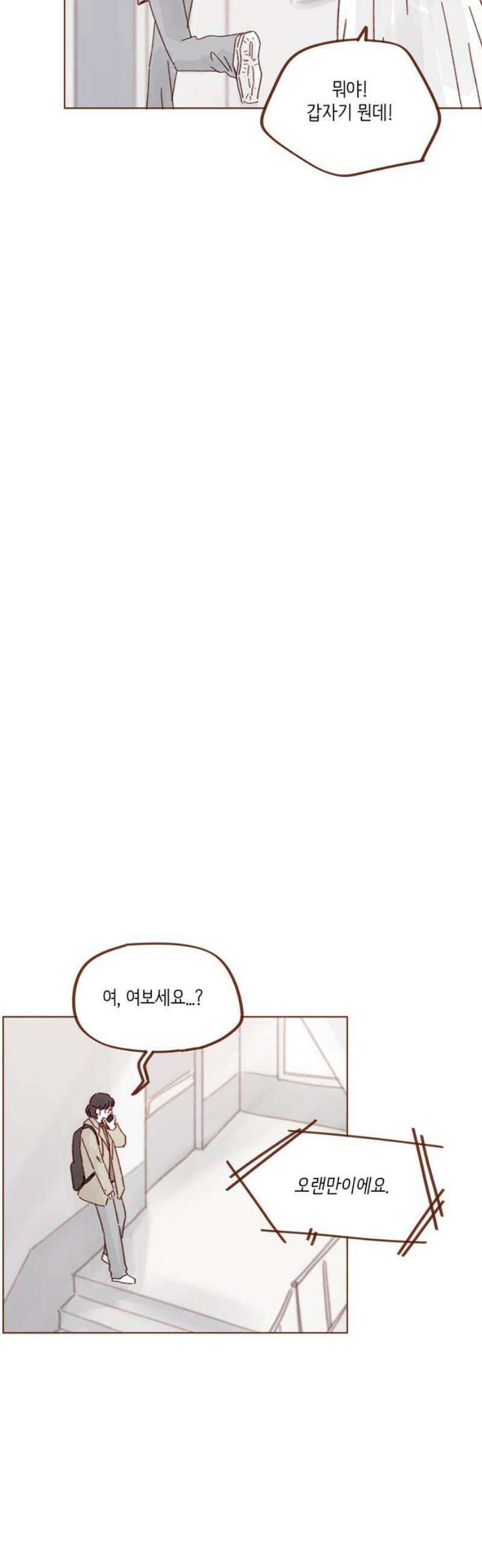홍시는 날 좋아해 325화 : 맞지! 사귀는 거! 14