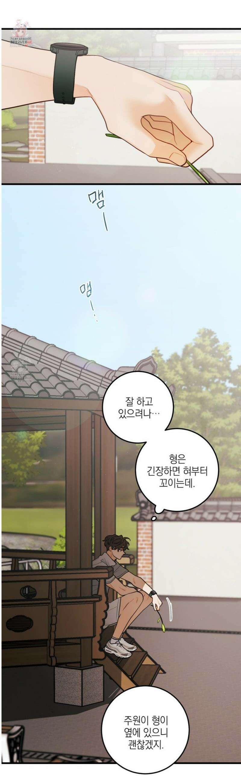 배꽃 피는 사랑 88화 [최종화] 1