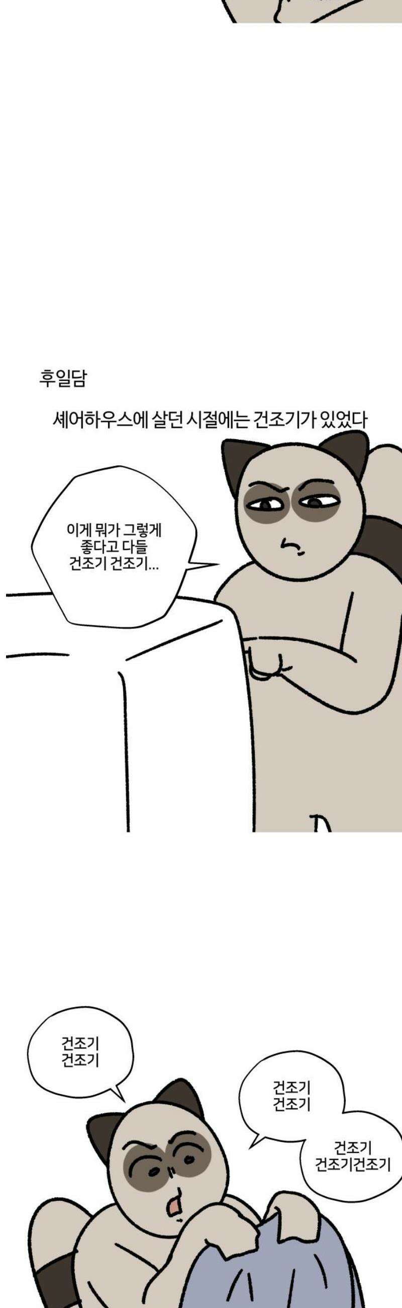 구야는 신입 102화 장마철 빨래 지옥 11