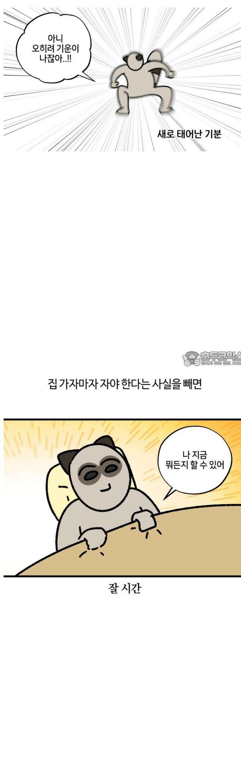 구야는 신입 103화 운동을 하자 6