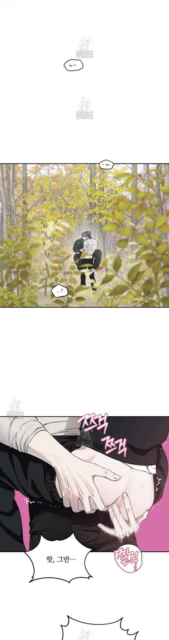 숨어드는 볕 11화 2