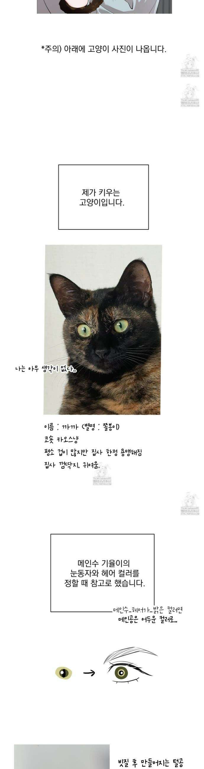 입장이 바뀌었는데요? 후기 7