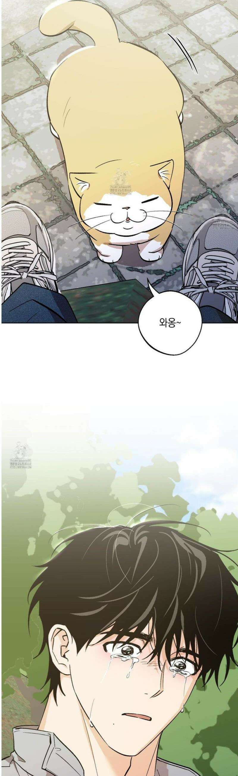 기원의 제 31화 [시즌1 최종화] 18