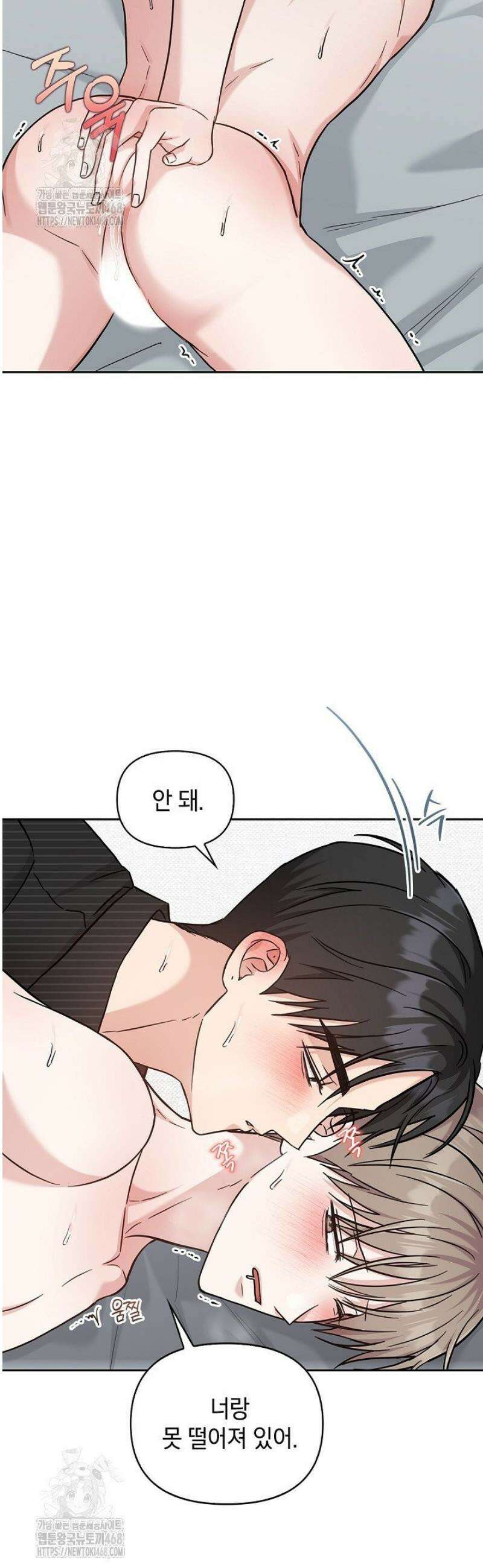 센차 레플리카 64화 8