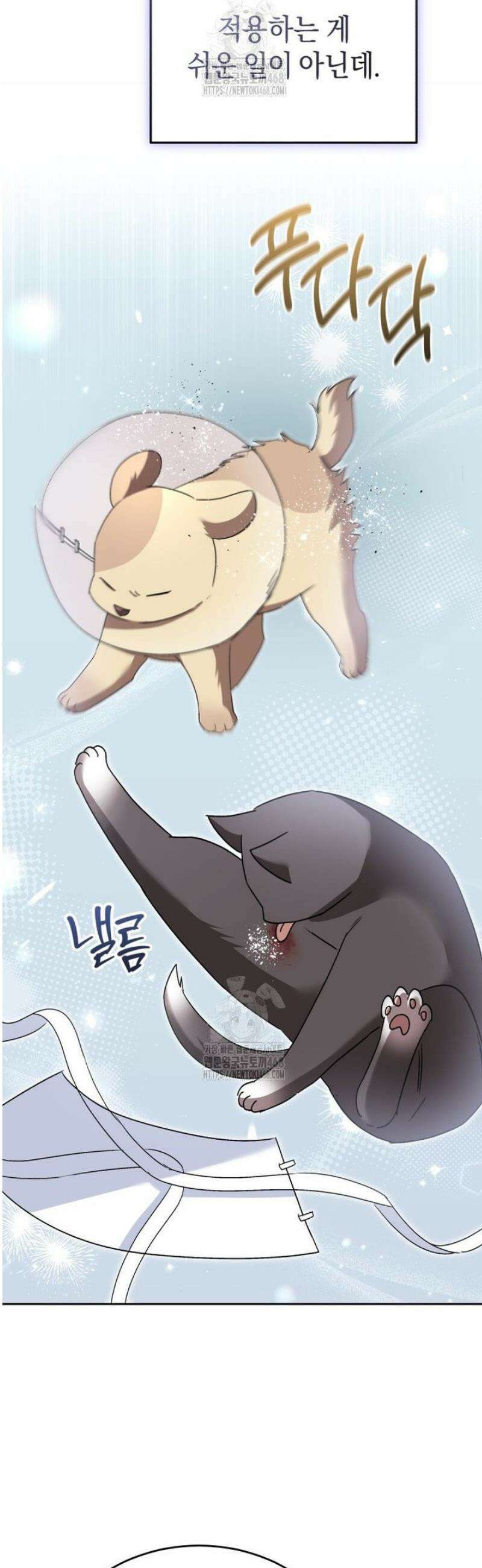 수의사님! 안녕하세요? 94화 3