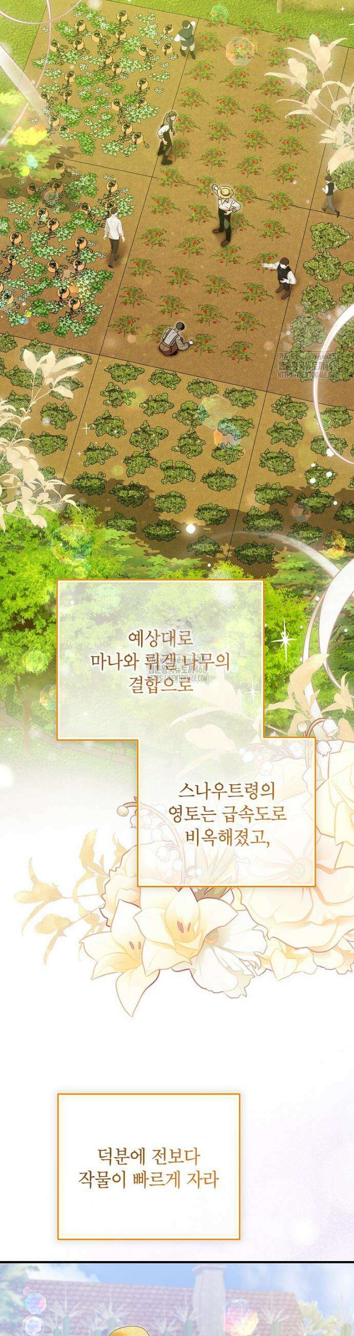 입양된 며느리는 파양을 준비합니다 101화 18