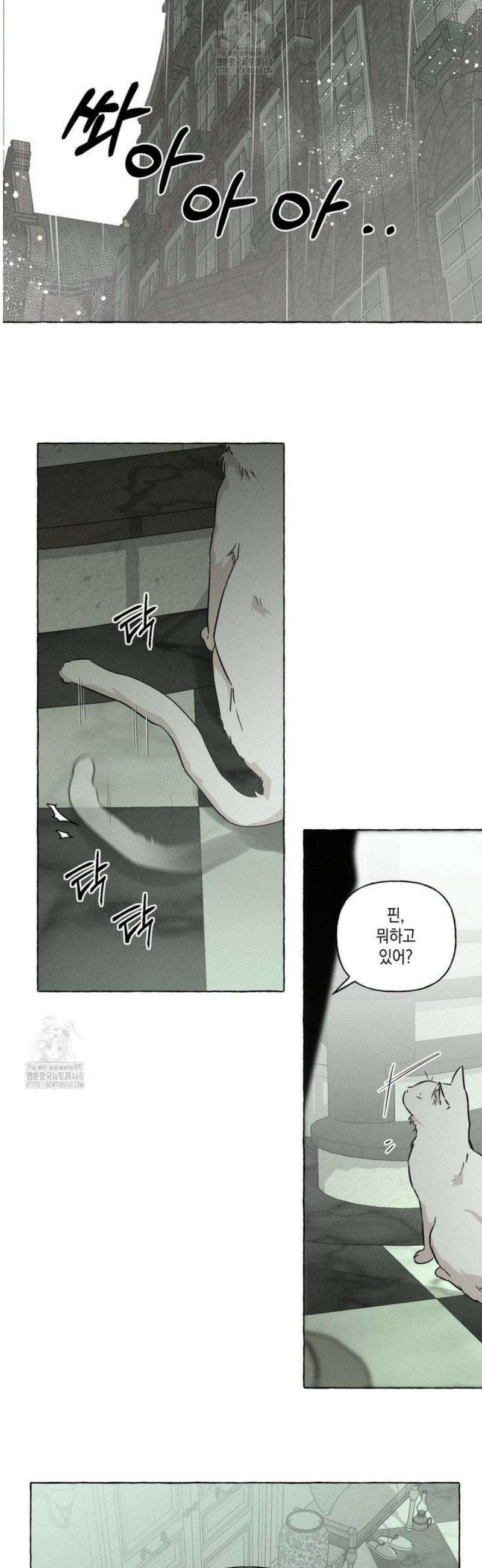 뼈와 꽃잎 56화 9