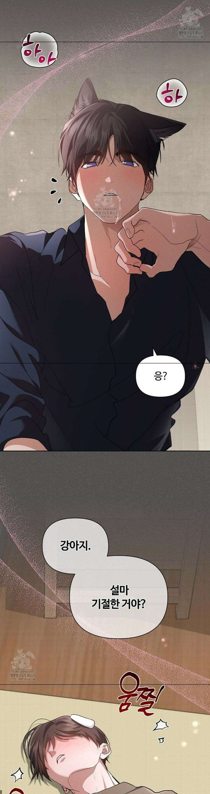 강아지는 건드리지 마라 에필로그 10화 5