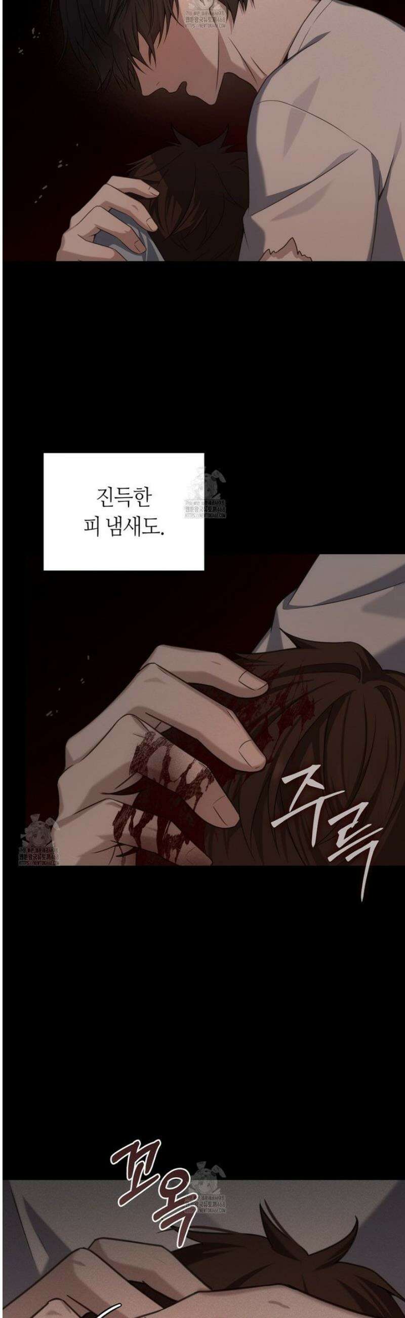 테소로 오브 더 가이드 24화 3