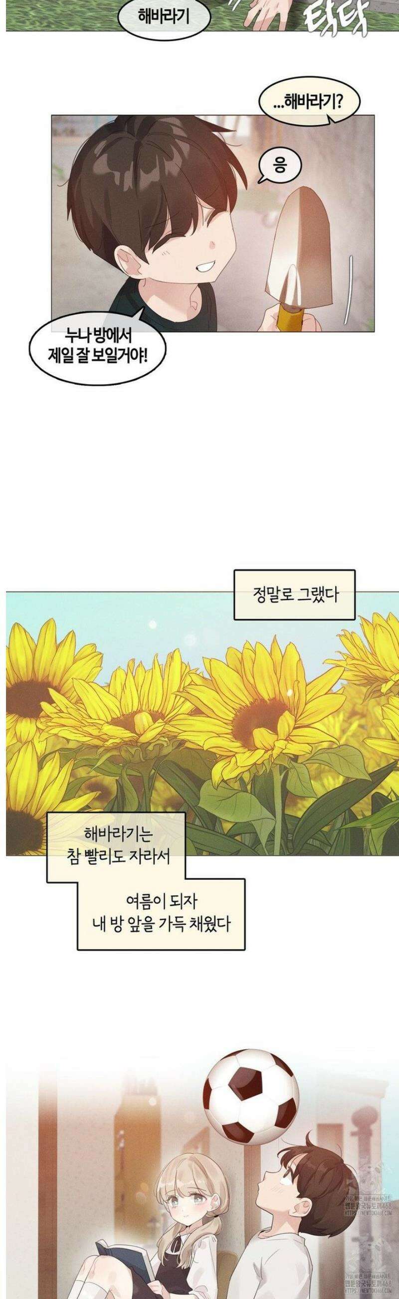 해바라기가 속삭이는 계절에 [휴재 특별편] 5