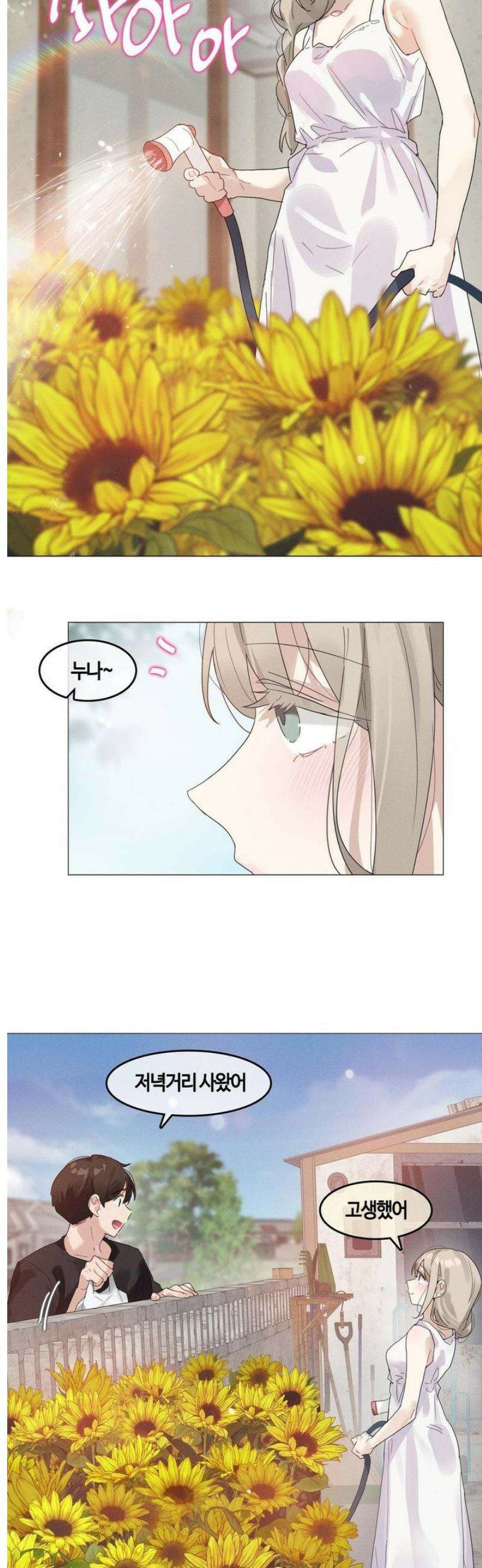 해바라기가 속삭이는 계절에 [휴재 특별편] 7