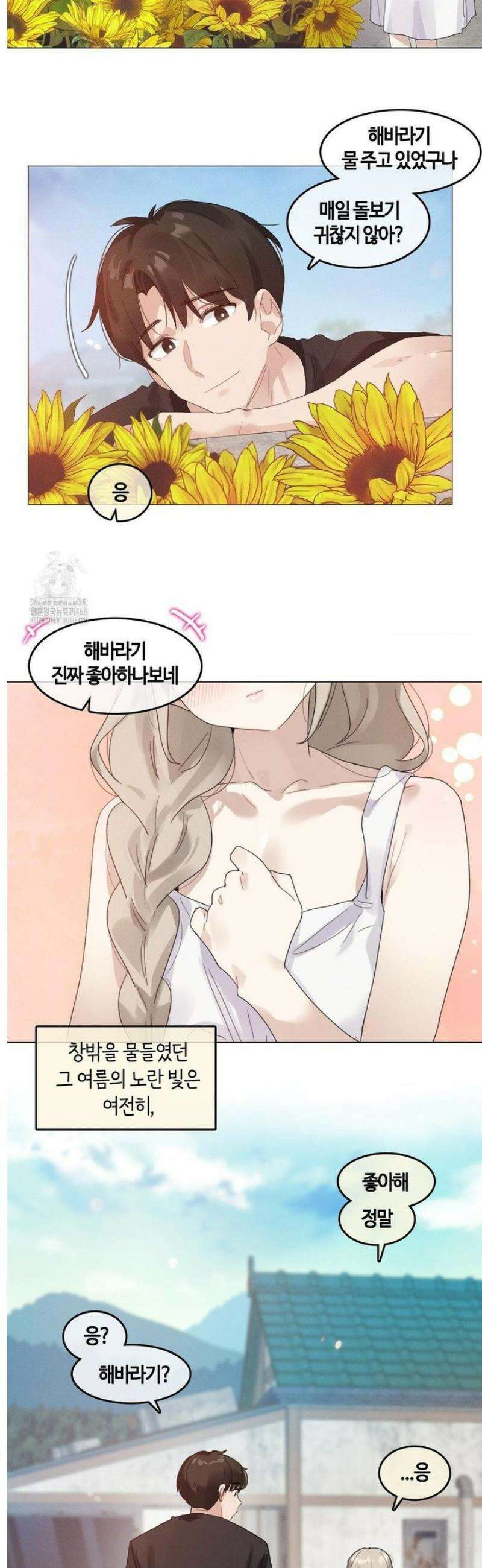 해바라기가 속삭이는 계절에 [휴재 특별편] 8