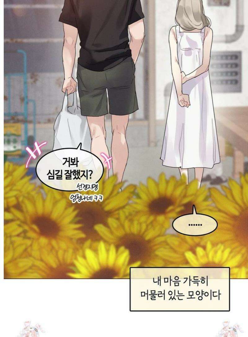 해바라기가 속삭이는 계절에 [휴재 특별편] 9