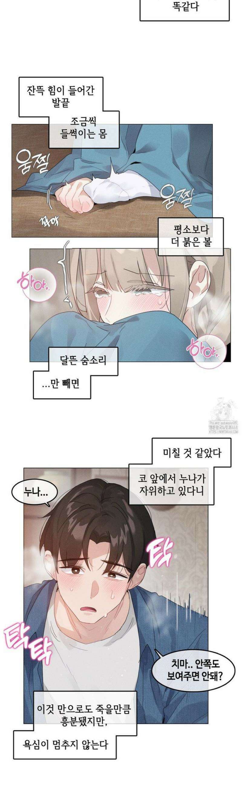 해바라기가 속삭이는 계절에 7화 14