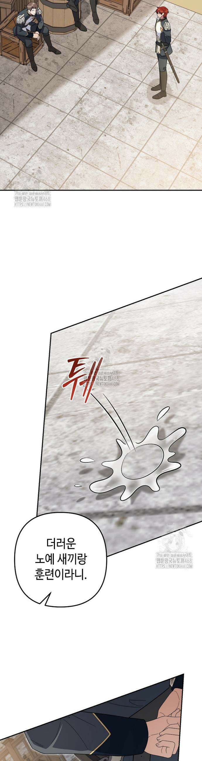 몰락한 왕녀에게는 회귀가 필요합니다 45화 27