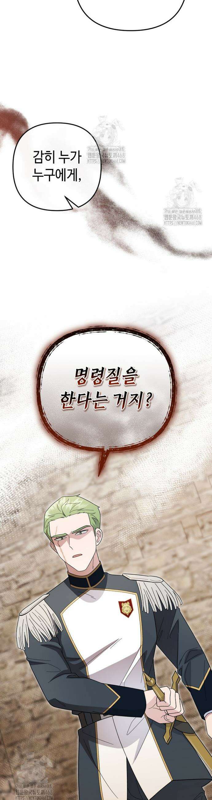 몰락한 왕녀에게는 회귀가 필요합니다 45화 41