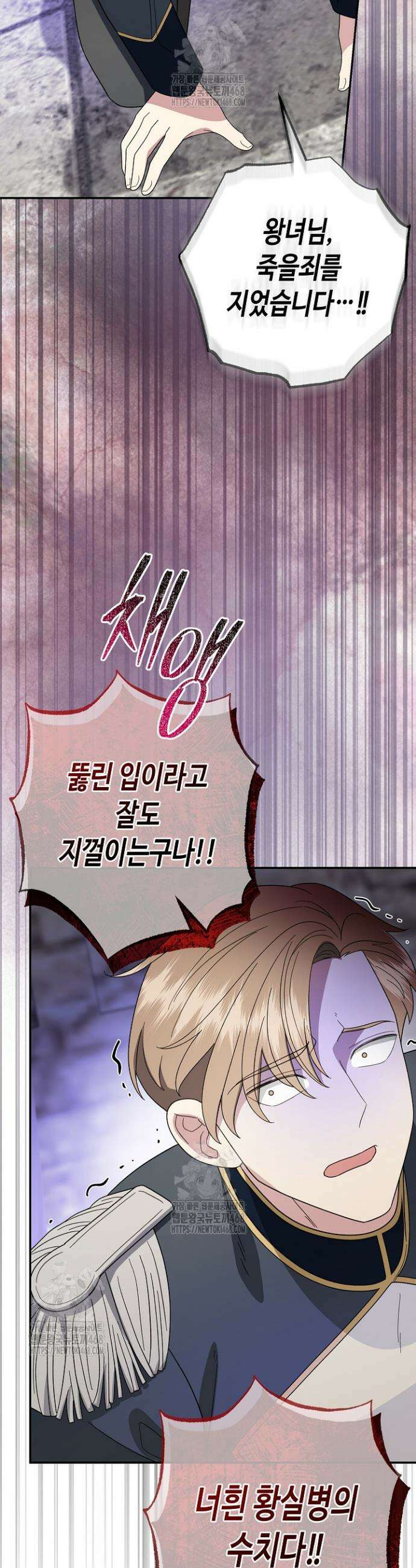 몰락한 왕녀에게는 회귀가 필요합니다 45화 44