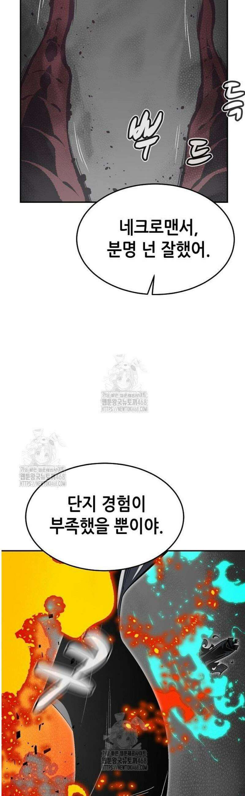 나 혼자 네크로맨서 196화 - 마왕의 목적 - 4 31