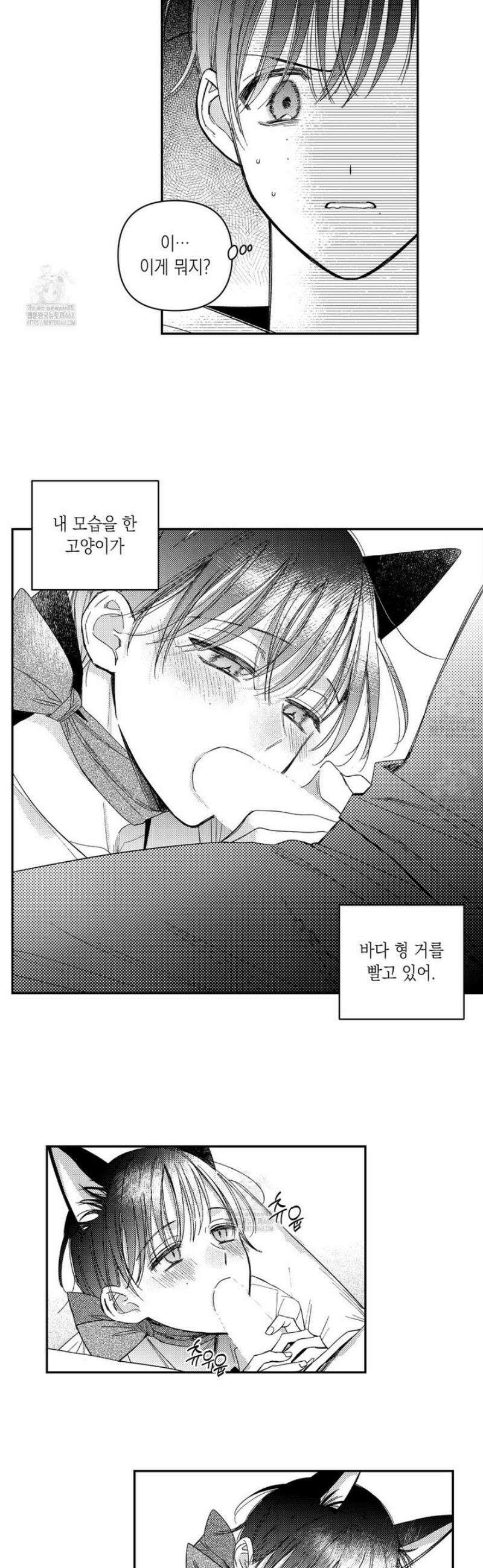 바다 밑 산호 속에는 33화 19