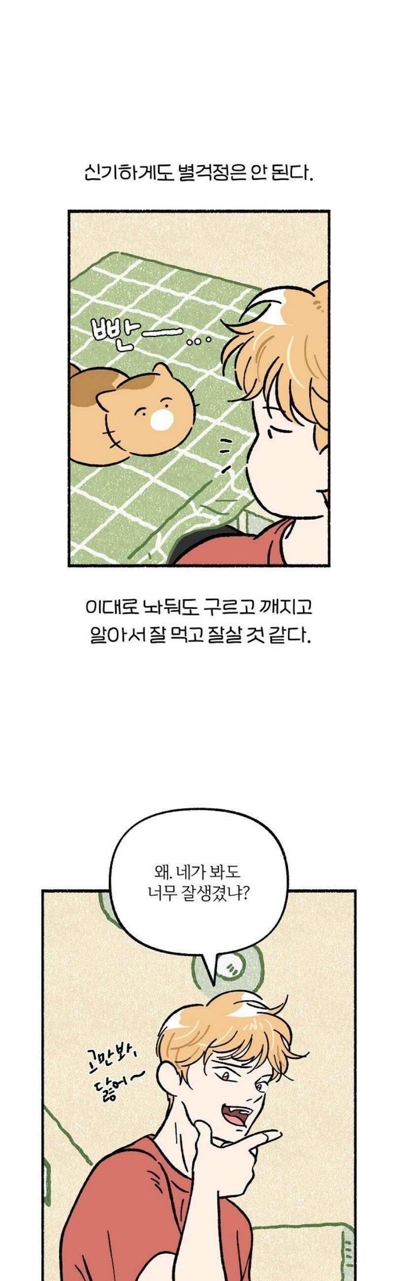 천재, 만재, 백재! 36화 돈까스밥마니 8