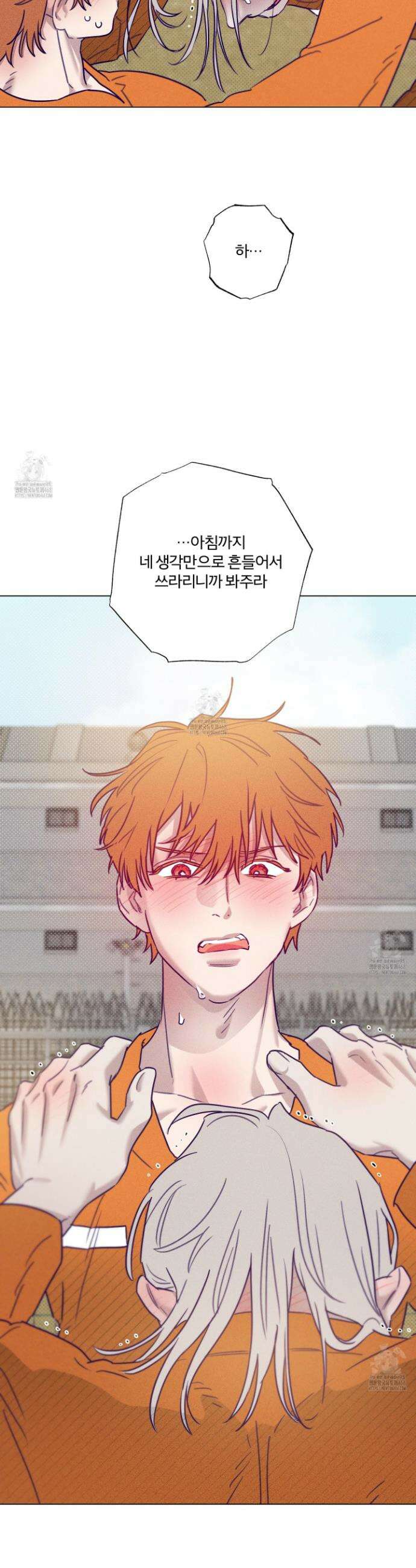 프리즌 블랙퍼스트 53화 32
