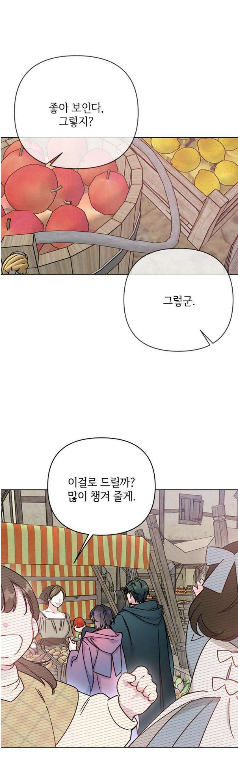 그 기사가 레이디로 사는 법 외전 2 : 다시, 얼샤로 3