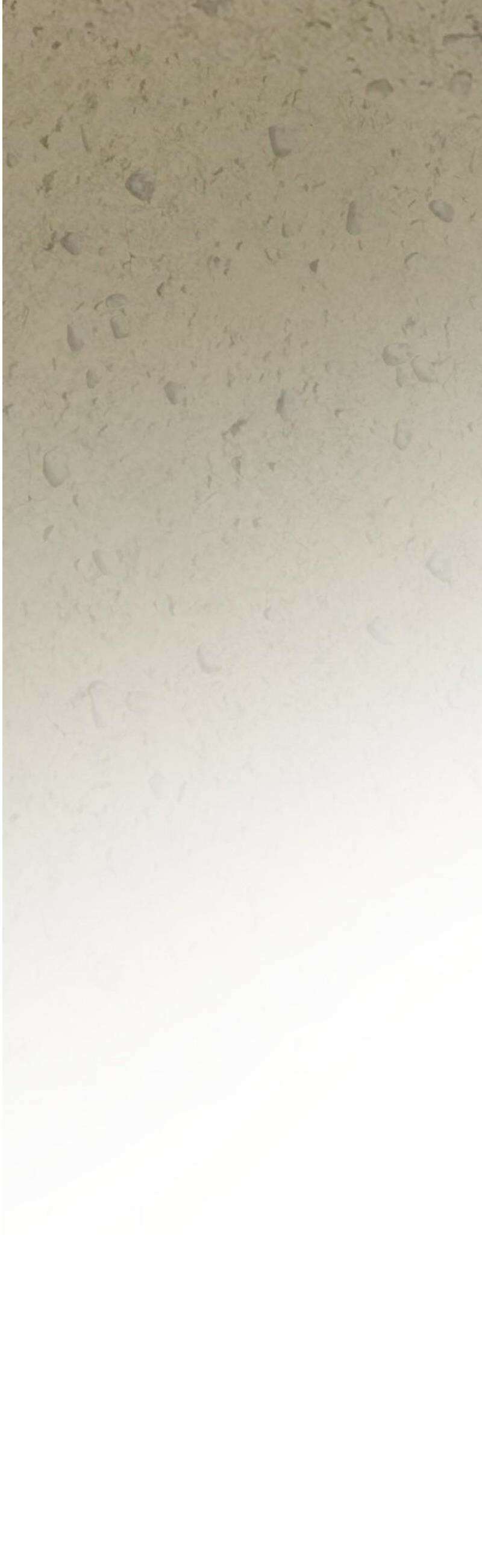 그 기사가 레이디로 사는 법 외전 2 : 다시, 얼샤로 14