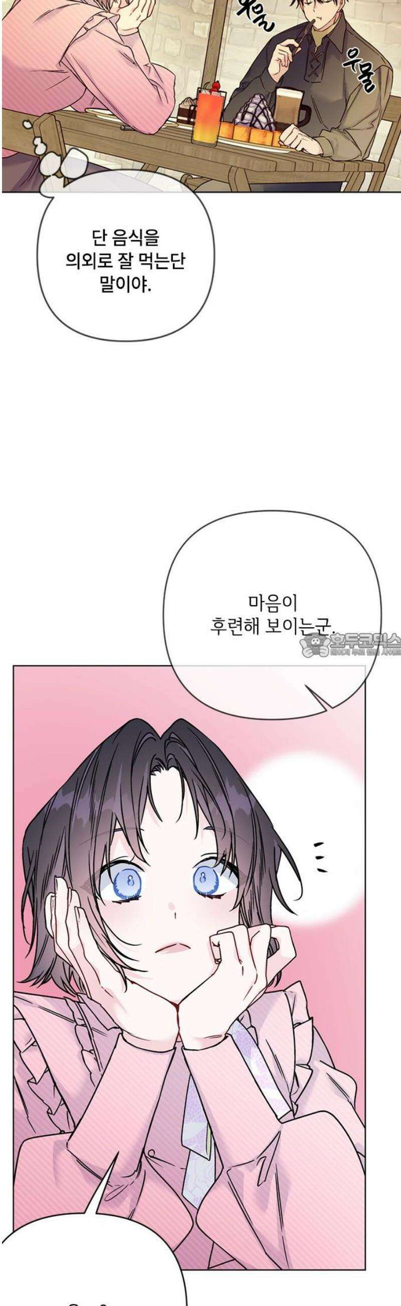 그 기사가 레이디로 사는 법 외전 2 : 다시, 얼샤로 28