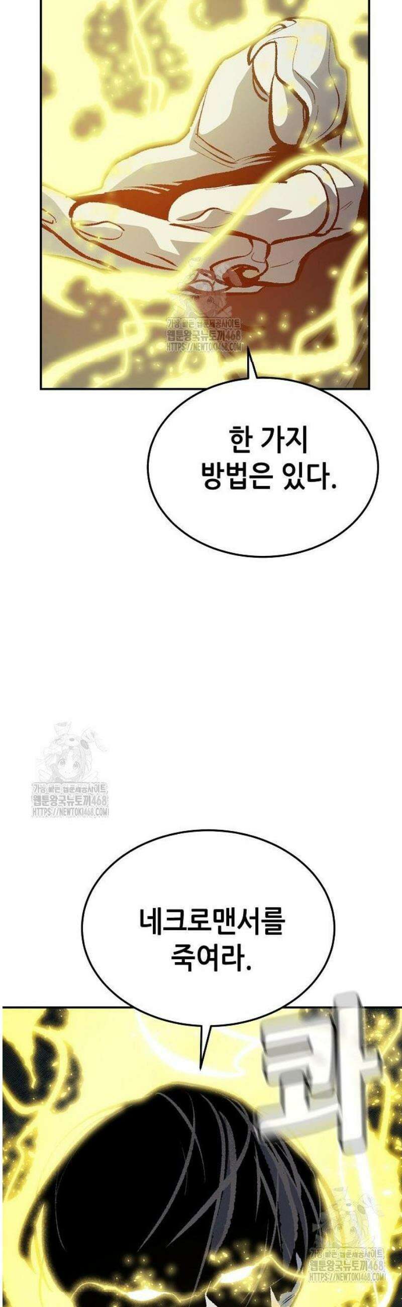 나 혼자 네크로맨서 198화 - 아마존의 마왕성 - 2 10