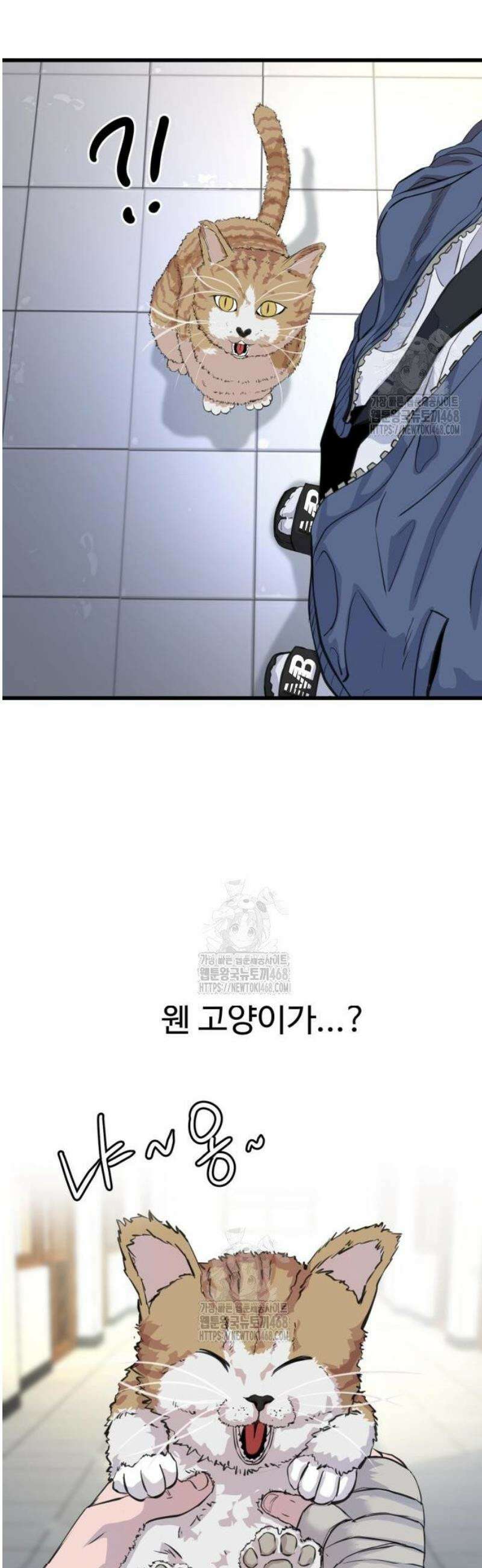 언더복서 3화 41