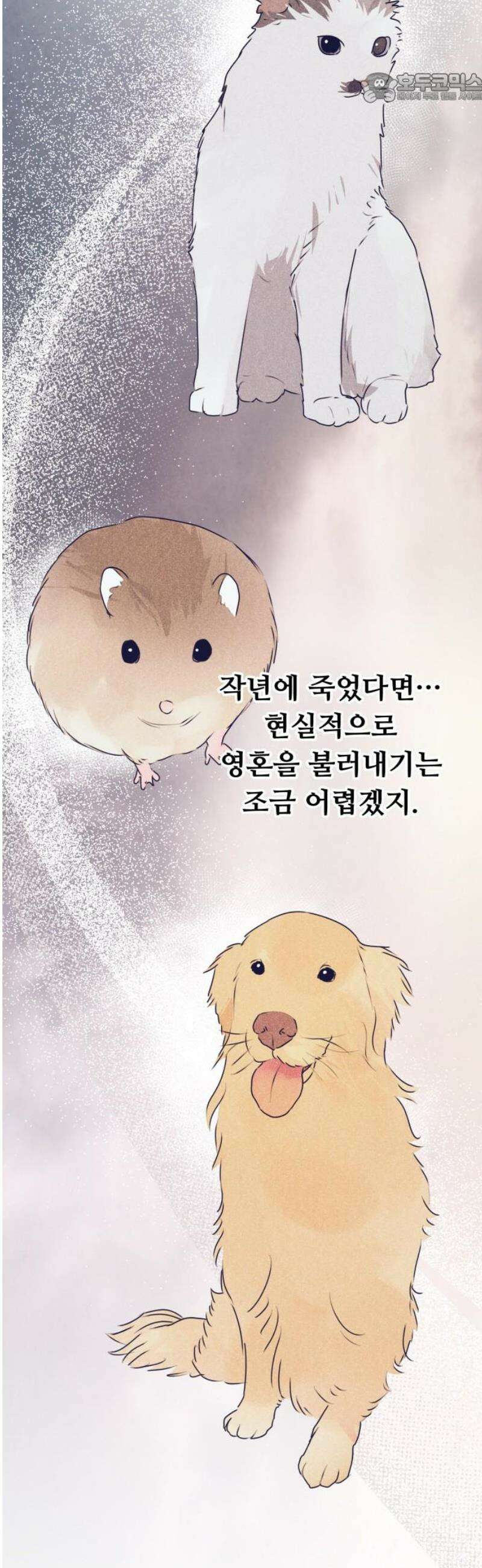 호러맨스 25． 윤정우(8) 37