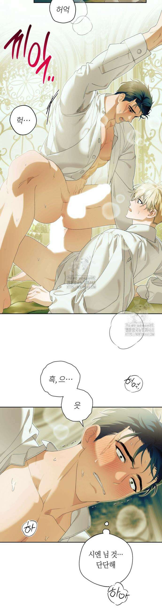 파테라 9화 2