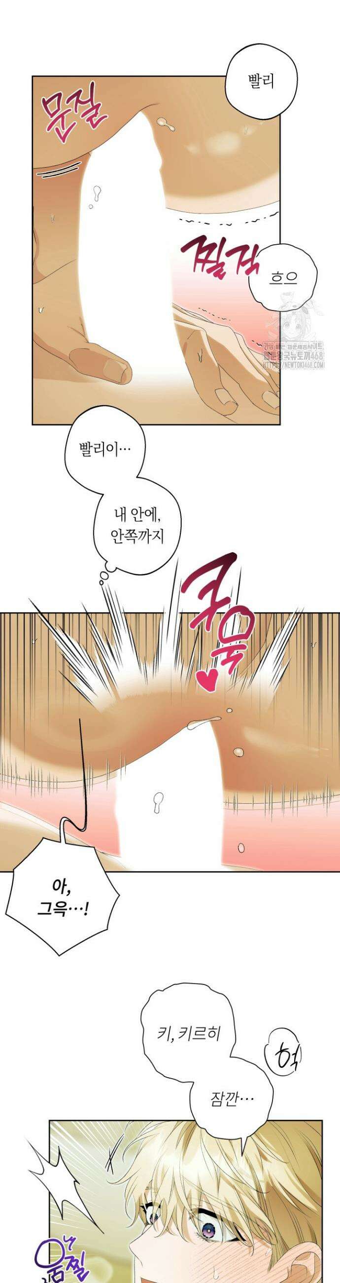 파테라 9화 3