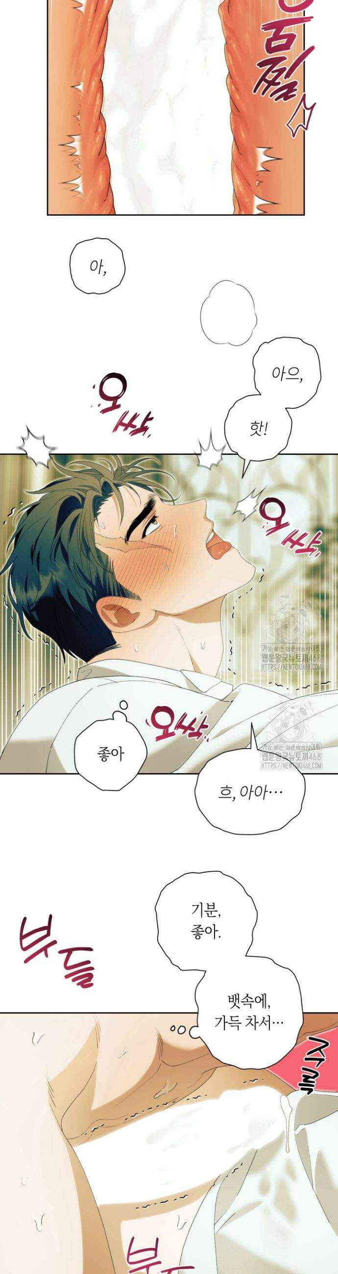 파테라 9화 5