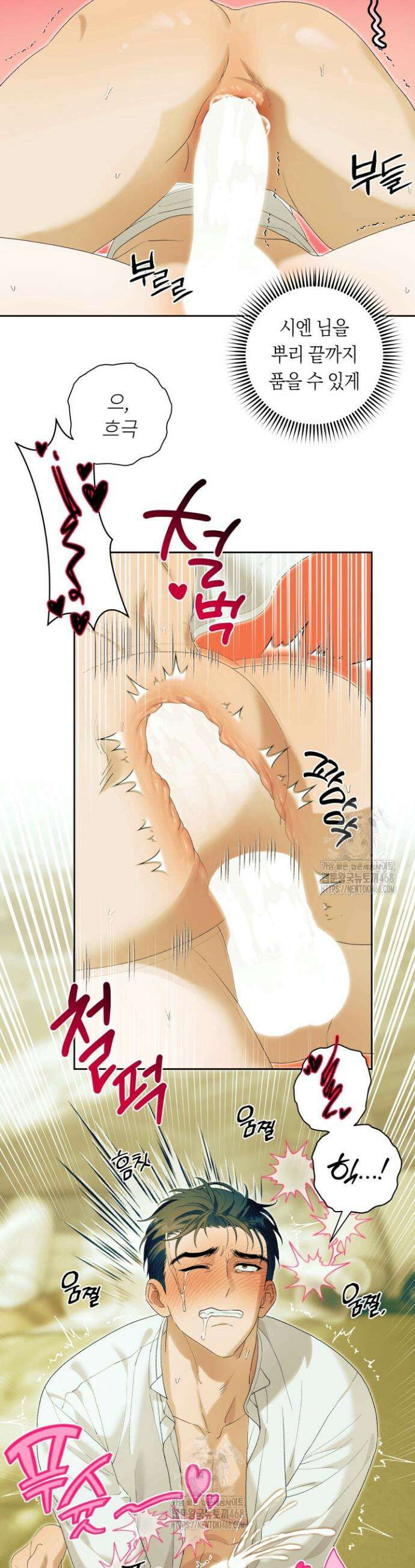 파테라 9화 8