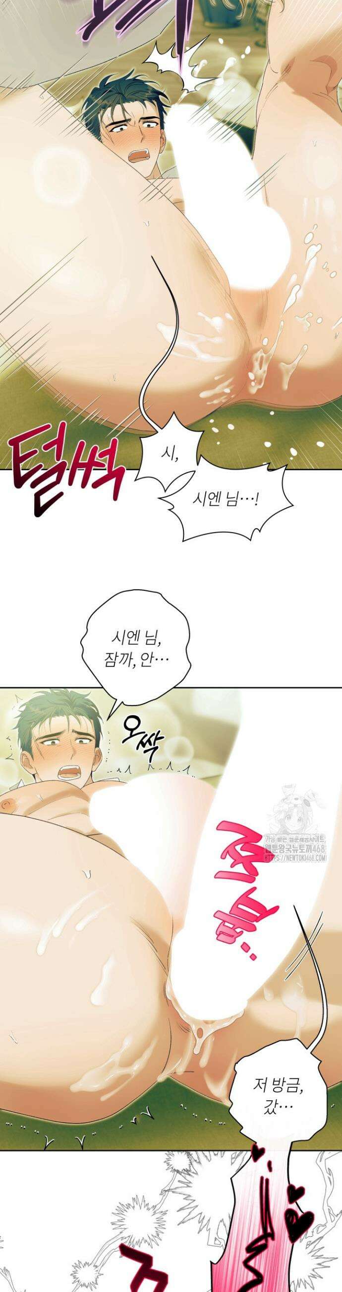 파테라 9화 12