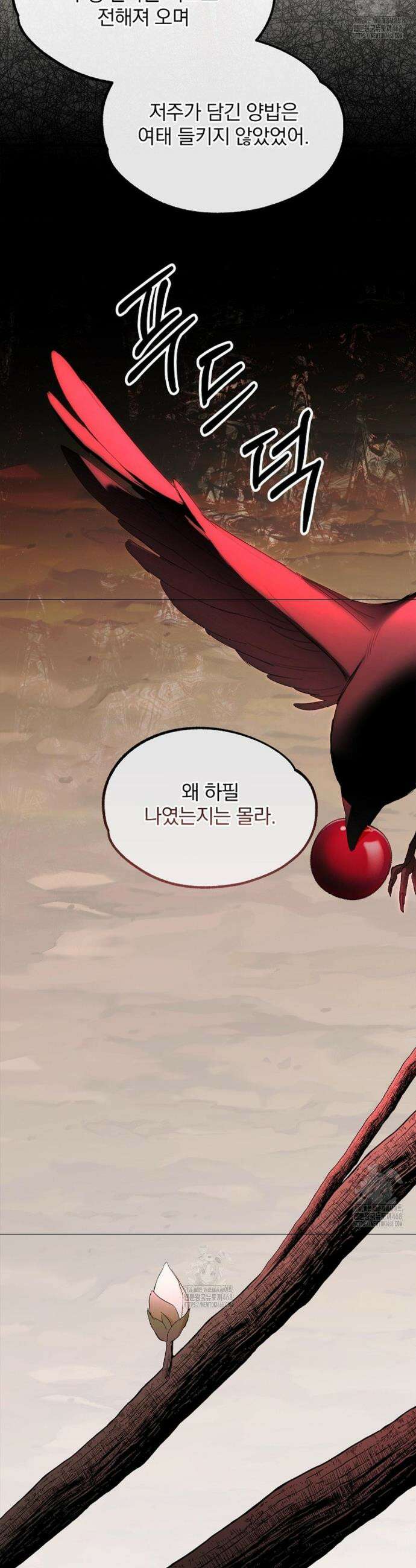 갓뎀 로맨스 11화 33