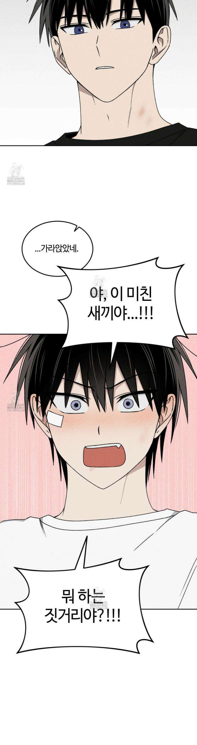 문제적 선도활동 31화 5