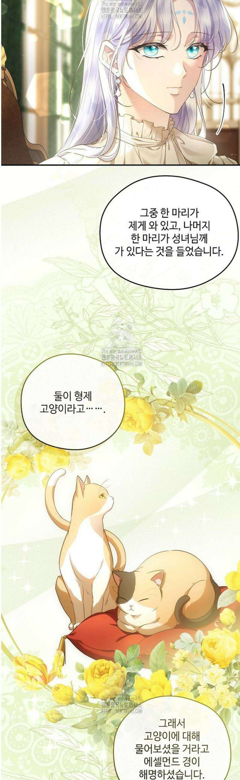 후원에 핀 제비꽃 73화 5