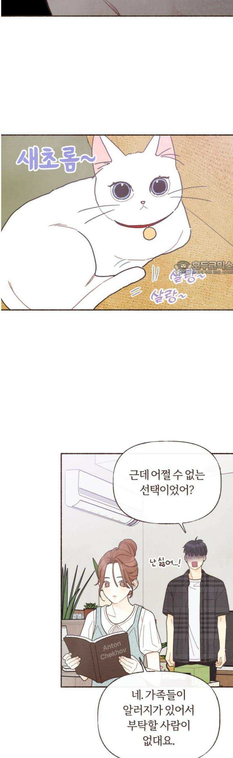감정전이 50화 함께하고 싶은 사람 (6) 26
