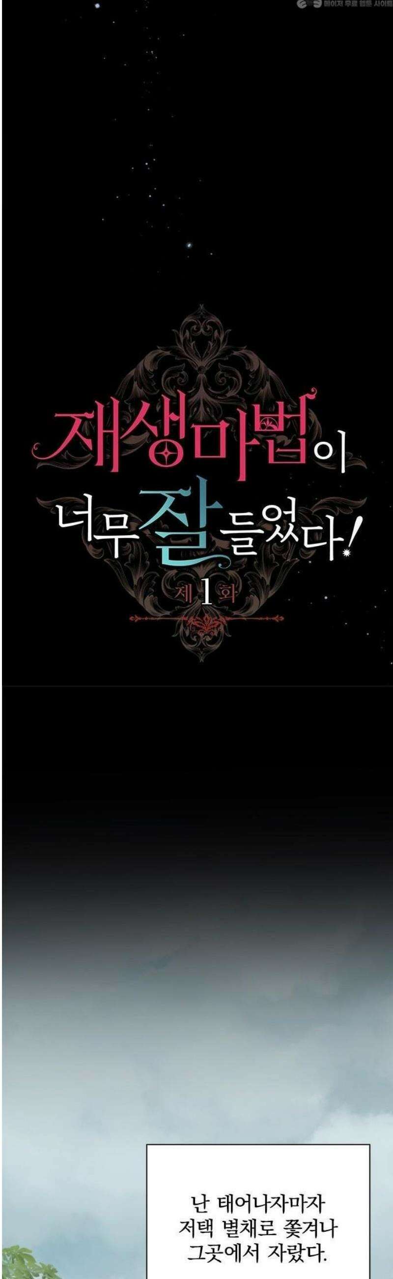재생 마법이 너무 잘 들었다! 1화 4